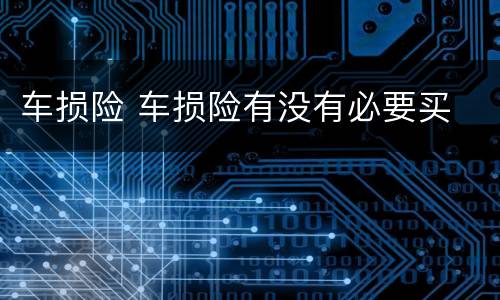 车损险 车损险有没有必要买