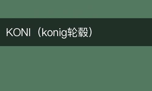 KONI（konig轮毂）