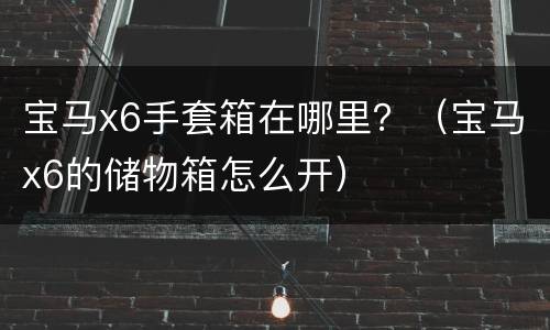 宝马x6手套箱在哪里？（宝马x6的储物箱怎么开）
