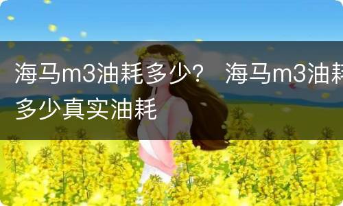 海马m3油耗多少？ 海马m3油耗多少真实油耗