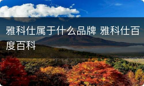 雅科仕属于什么品牌 雅科仕百度百科