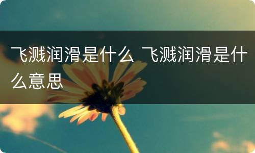 飞溅润滑是什么 飞溅润滑是什么意思