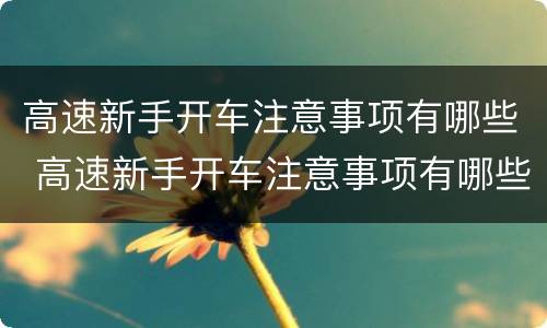 高速新手开车注意事项有哪些 高速新手开车注意事项有哪些图片