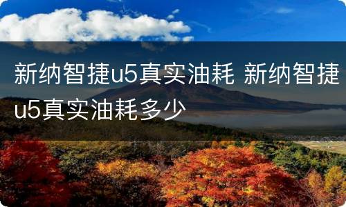新纳智捷u5真实油耗 新纳智捷u5真实油耗多少