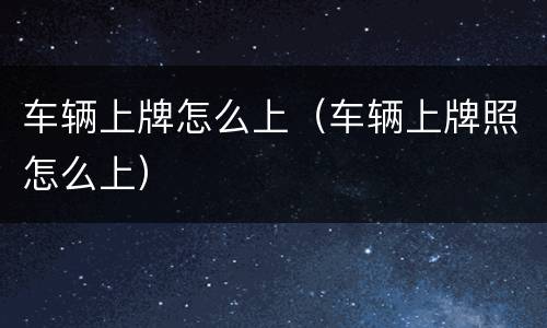 车辆上牌怎么上（车辆上牌照怎么上）