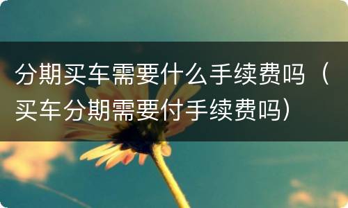 分期买车需要什么手续费吗（买车分期需要付手续费吗）