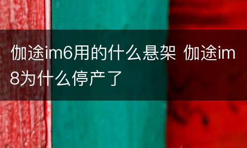 伽途im6用的什么悬架 伽途im8为什么停产了