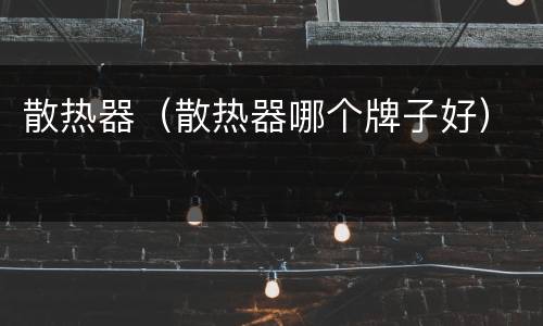 散热器（散热器哪个牌子好）