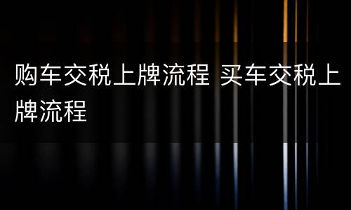 购车交税上牌流程 买车交税上牌流程