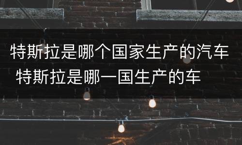 特斯拉是哪个国家生产的汽车 特斯拉是哪一国生产的车