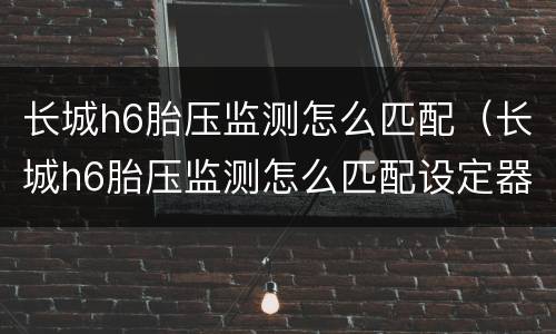 长城h6胎压监测怎么匹配（长城h6胎压监测怎么匹配设定器）