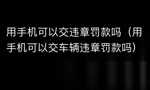用手机可以交违章罚款吗（用手机可以交车辆违章罚款吗）