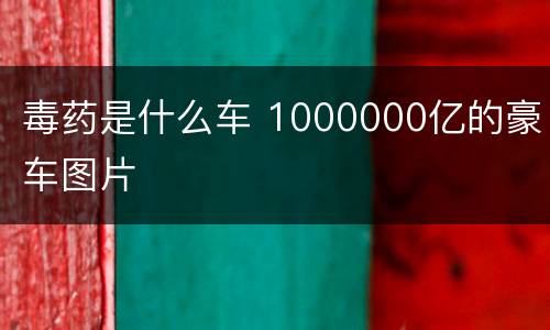 毒药是什么车 1000000亿的豪车图片