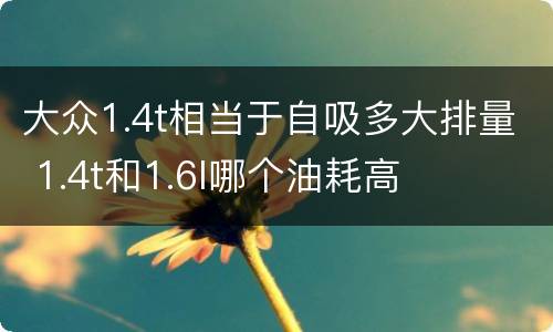 大众1.4t相当于自吸多大排量 1.4t和1.6l哪个油耗高