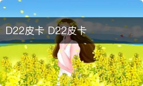 D22皮卡 D22皮卡