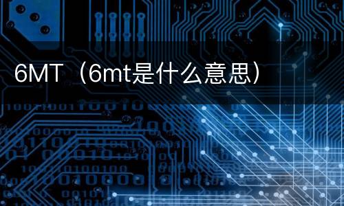6MT（6mt是什么意思）