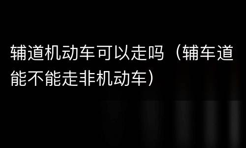 辅道机动车可以走吗（辅车道能不能走非机动车）