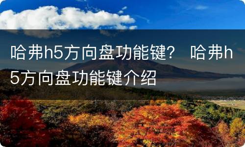哈弗h5方向盘功能键？ 哈弗h5方向盘功能键介绍
