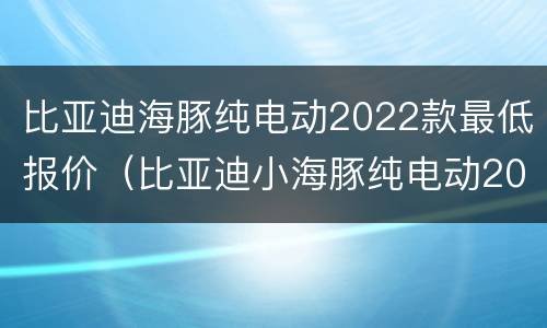 比亚迪海豚纯电动2022款最低报价（比亚迪小海豚纯电动2022款车型）