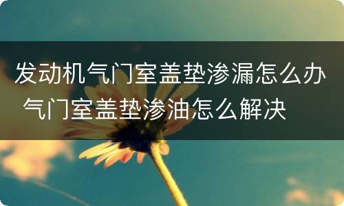 发动机气门室盖垫渗漏怎么办 气门室盖垫渗油怎么解决