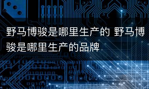 野马博骏是哪里生产的 野马博骏是哪里生产的品牌