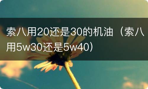 索八用20还是30的机油（索八用5w30还是5w40）