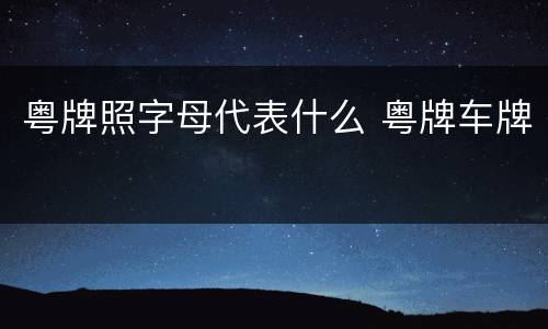 粤牌照字母代表什么 粤牌车牌