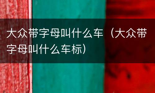 大众带字母叫什么车（大众带字母叫什么车标）