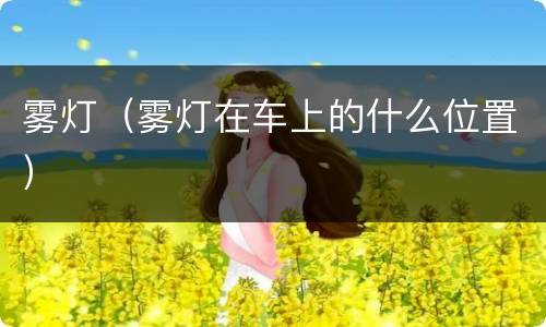 雾灯（雾灯在车上的什么位置）