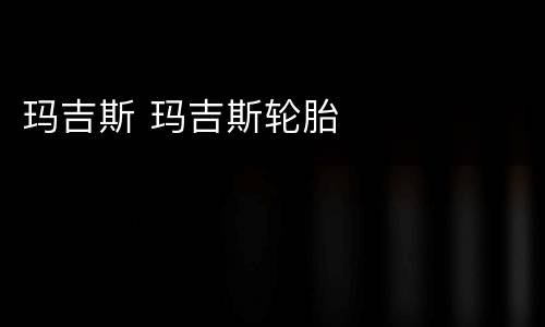玛吉斯 玛吉斯轮胎