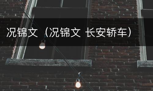况锦文（况锦文 长安轿车）