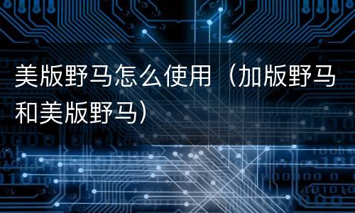 美版野马怎么使用（加版野马和美版野马）