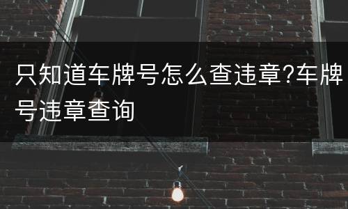只知道车牌号怎么查违章?车牌号违章查询