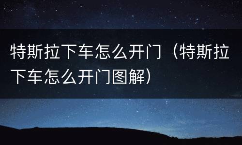 特斯拉下车怎么开门（特斯拉下车怎么开门图解）