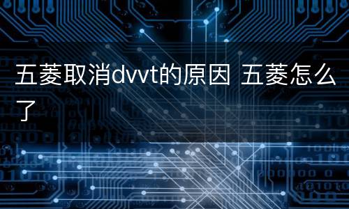 五菱取消dvvt的原因 五菱怎么了