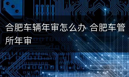 合肥车辆年审怎么办 合肥车管所年审