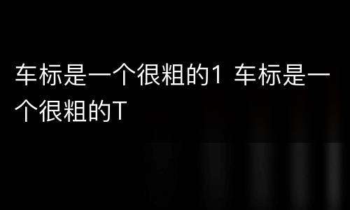 车标是一个很粗的1 车标是一个很粗的T
