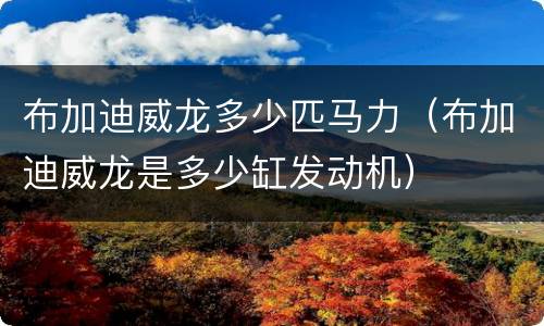 布加迪威龙多少匹马力（布加迪威龙是多少缸发动机）