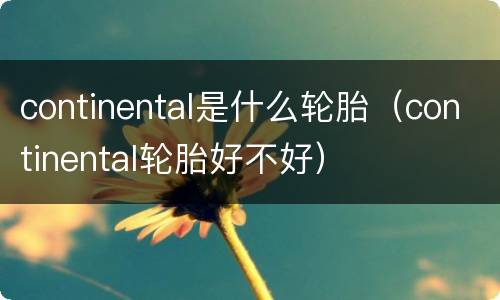 continental是什么轮胎（continental轮胎好不好）