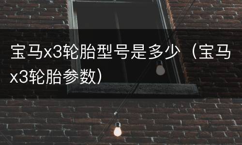 宝马x3轮胎型号是多少（宝马x3轮胎参数）