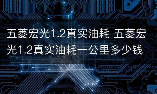 五菱宏光1.2真实油耗 五菱宏光1.2真实油耗一公里多少钱