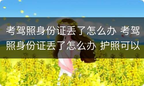 考驾照身份证丢了怎么办 考驾照身份证丢了怎么办 护照可以吗