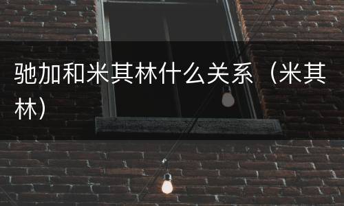 驰加和米其林什么关系（米其林）