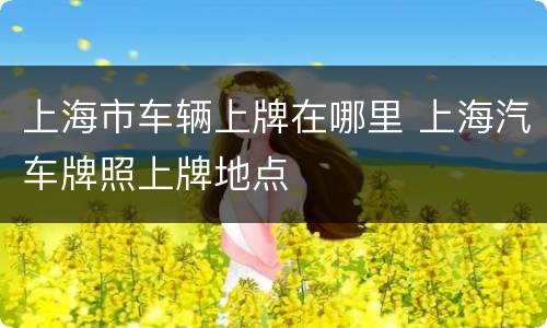 上海市车辆上牌在哪里 上海汽车牌照上牌地点