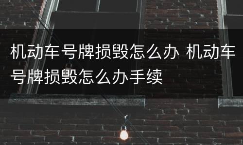 机动车号牌损毁怎么办 机动车号牌损毁怎么办手续