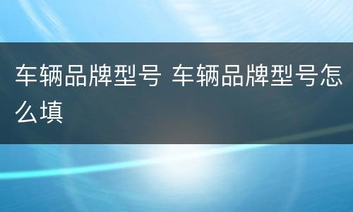 车辆品牌型号 车辆品牌型号怎么填