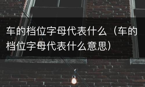 车的档位字母代表什么（车的档位字母代表什么意思）