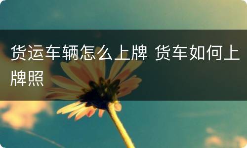 货运车辆怎么上牌 货车如何上牌照