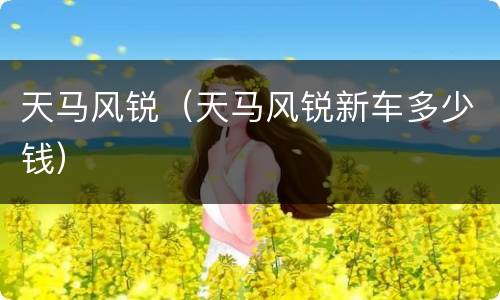 天马风锐（天马风锐新车多少钱）