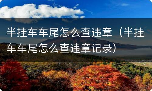 半挂车车尾怎么查违章（半挂车车尾怎么查违章记录）